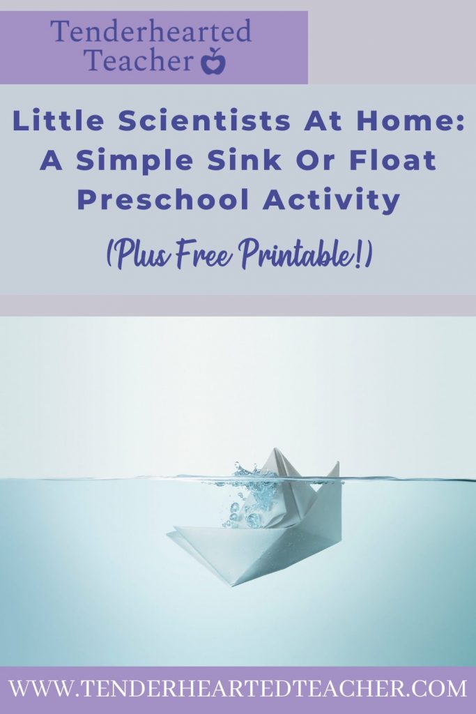 sink and float experiment preschool