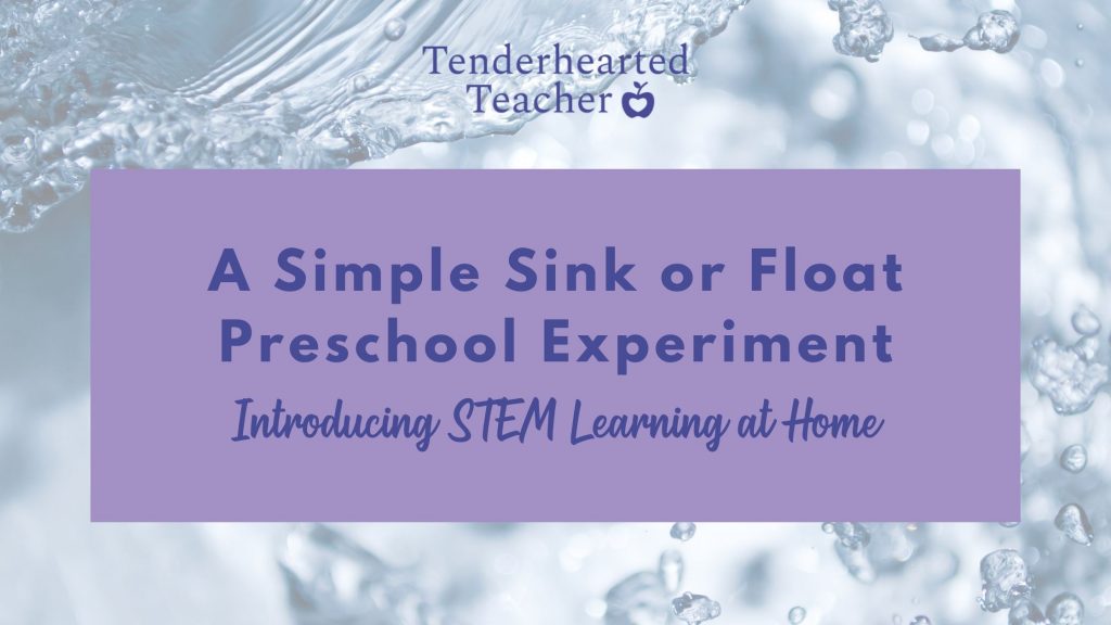 sink and float experiment preschool